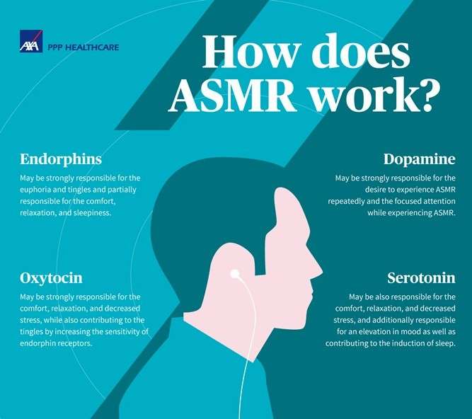 asmr-infographic-700 asmr infographic 700