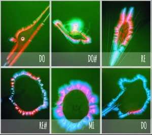 cellule-kirlian-note-reikie.it-fabien cellule kirlian note reikie it fabien
