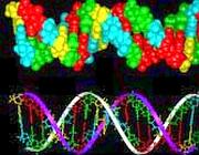 dna_b1--180x140