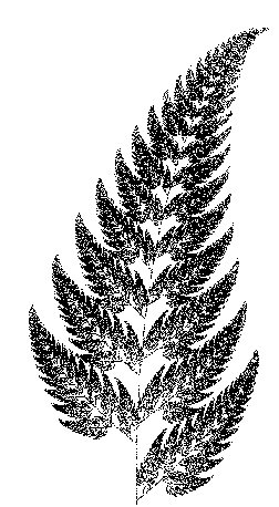 Frattali Natura e Fisiologia umana 8 felce