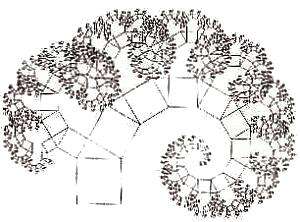 Frattali Natura e Fisiologia umana 6 pitagora2